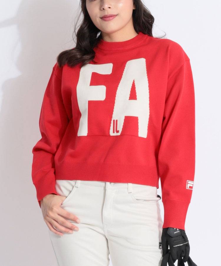 FG ビッグロゴクルーネックニット