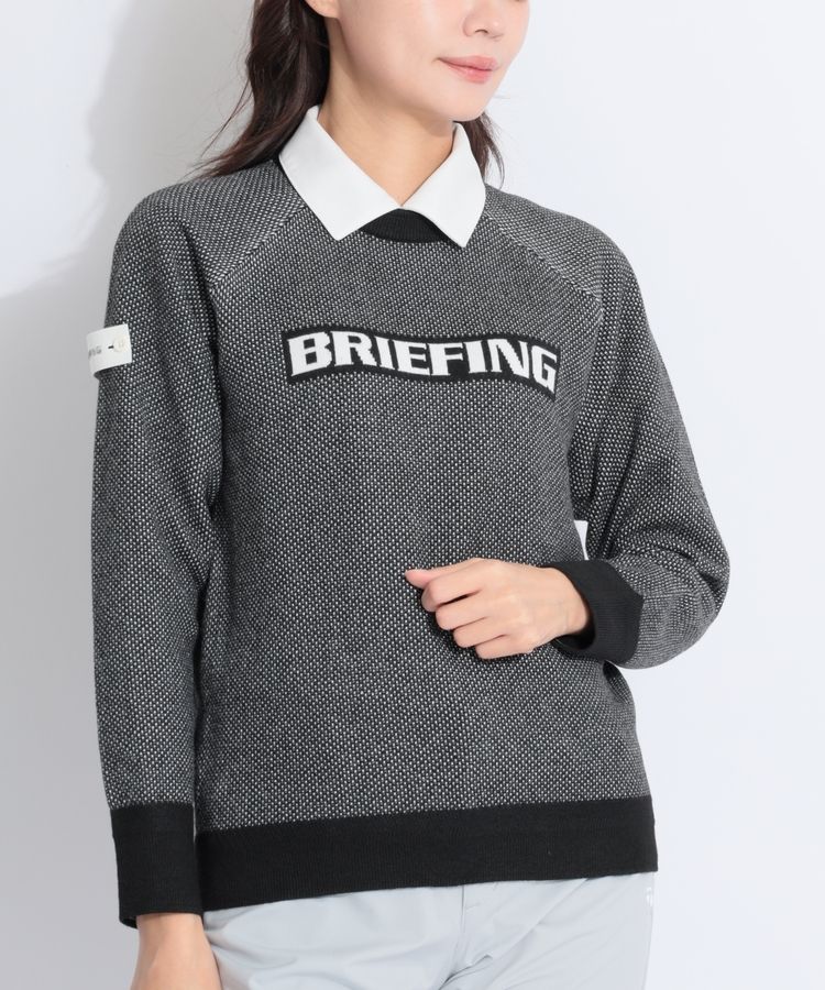 6478【美品】ブリーフィング　クルーネックニット　バックロゴ　23年モデル ブリーフィングゴルフ BR バックロゴウーリークルーネックニット