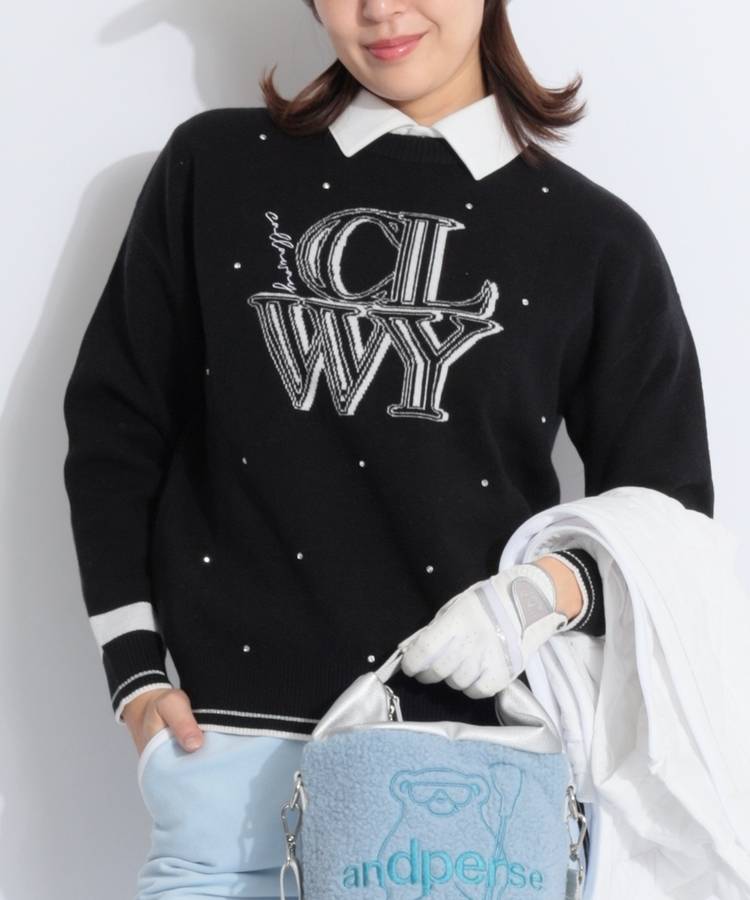 CA ストーンドットジャガードクルーネックニット