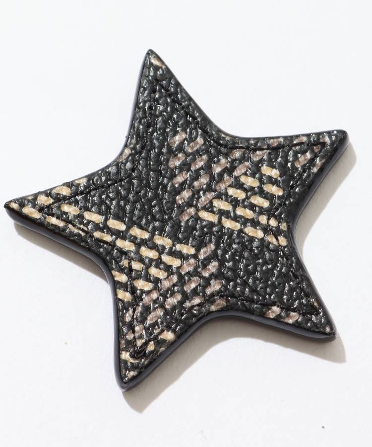 RR 総柄マーカー(スター)